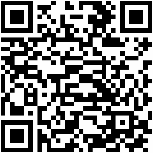 QR-Code: http://kulturstaatsminister.dewww.365-orte.land-der-ideen.de/netzwerke/agyle/young-leaders-2024/amen-allah-souli